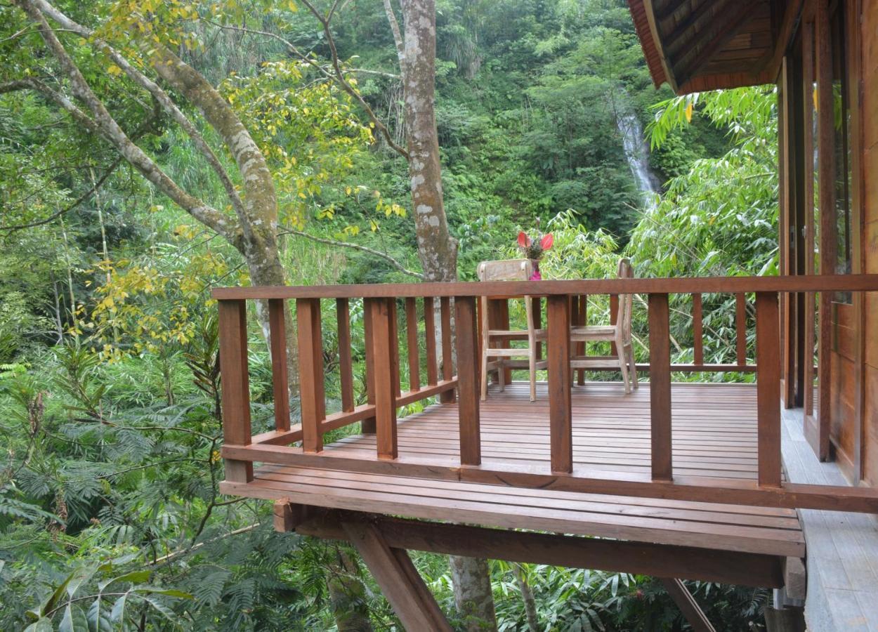 Gumi Ayu Ecostay Munduk  Luaran gambar