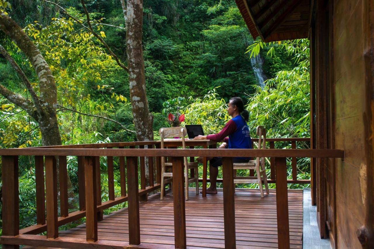 Gumi Ayu Ecostay Munduk  Luaran gambar