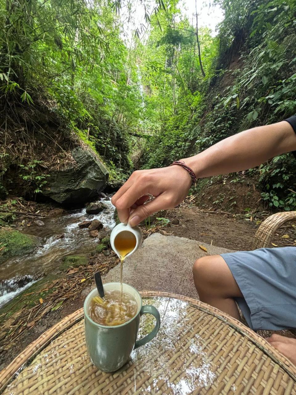 Gumi Ayu Ecostay Munduk  Luaran gambar